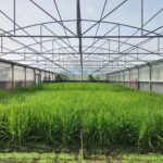 4c4627a2-9457-4830-a5f2-9c26debb037b