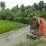 8177590346_eb1cff2215_k